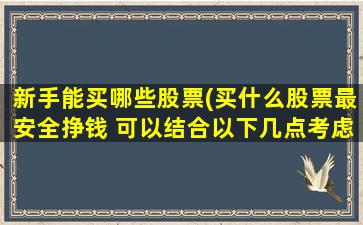 新手能买哪些股票(买什么股票最安全挣钱 可以结合以下几点考虑)